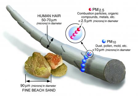 PM Diagram