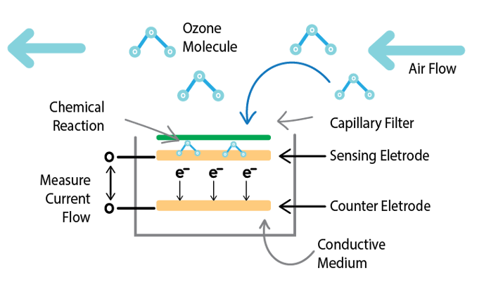 o3 sensor diagram